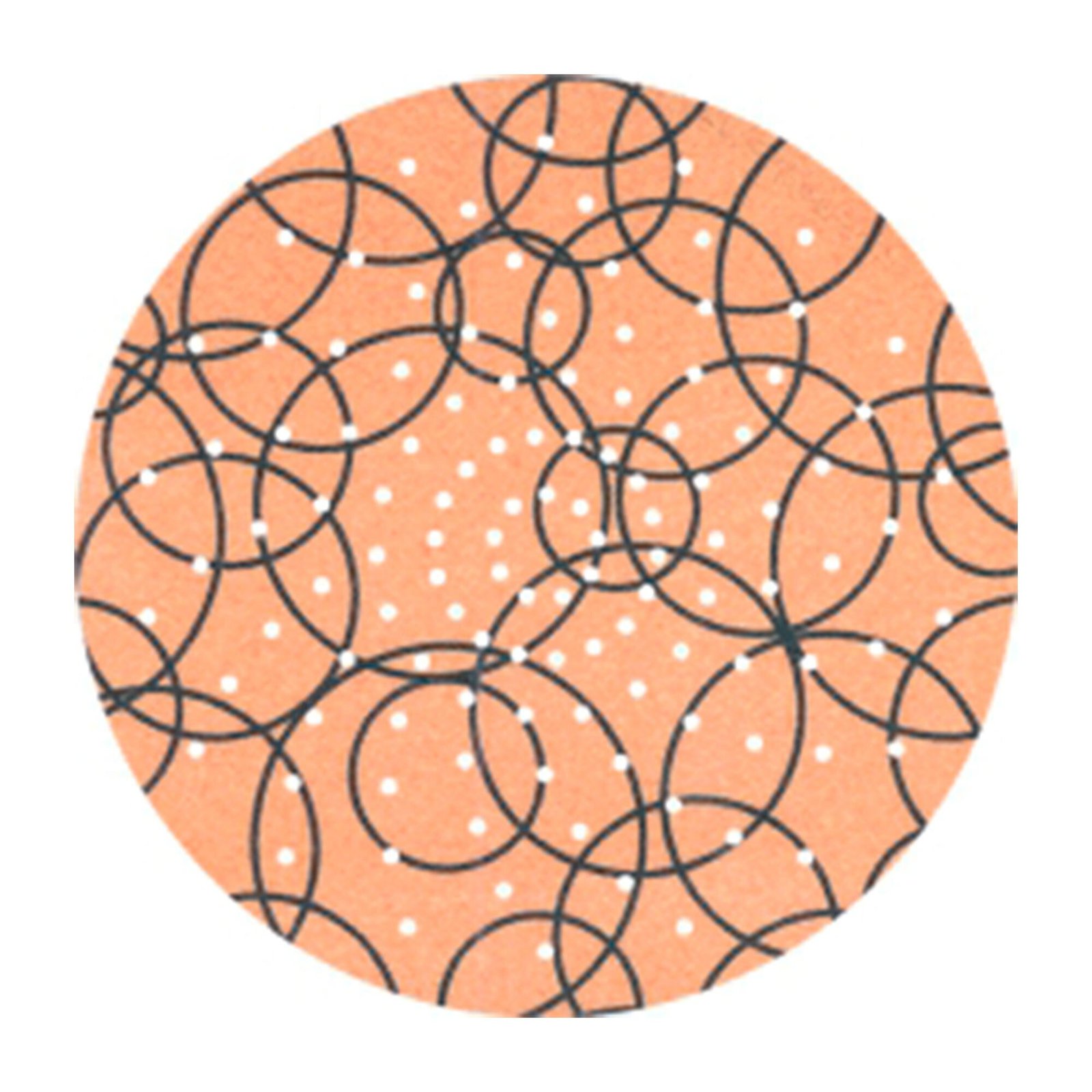 Pack 6 Un. Discos Cevik de lija 225mm Oxy multiperforados grano 180