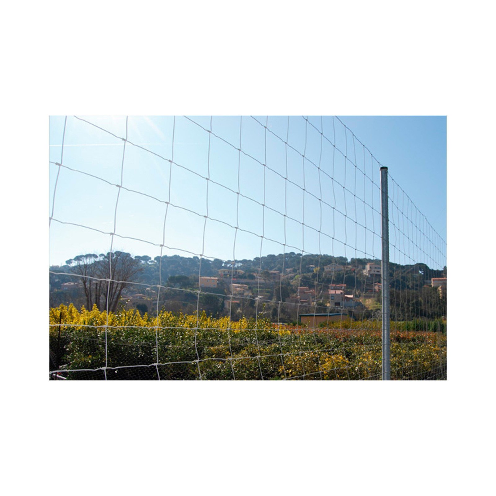 Rollo malla anudada Rivisa 2x50m 20/15